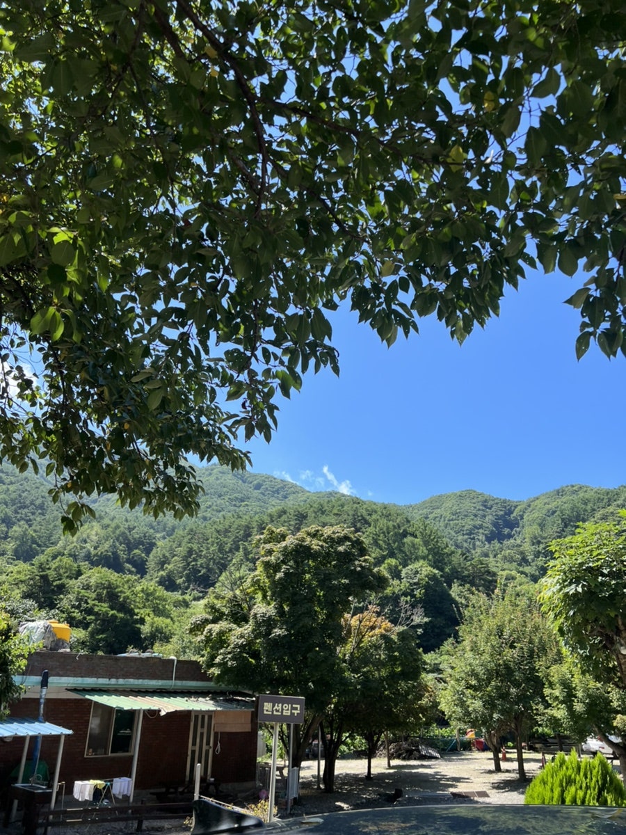 지리산소윤정펜션 사진 5