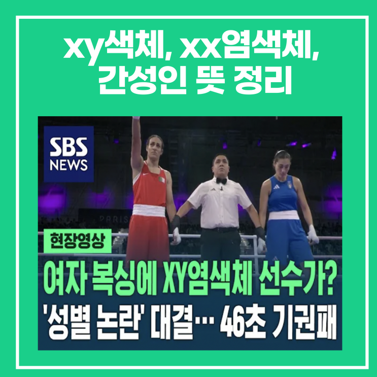 뜻 정리, 여자/여성 복싱 <b>복서 선수</b>(+성염색체 이상 증후군)
