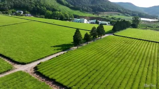  렌트 , 유지비 효율성 프로모션 받아보세요!
