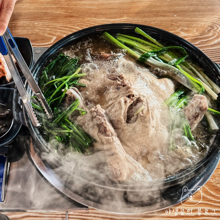  한적한 분위기에서 맛보는 오리백숙 파주적성맛집 꼬꼬댁가월