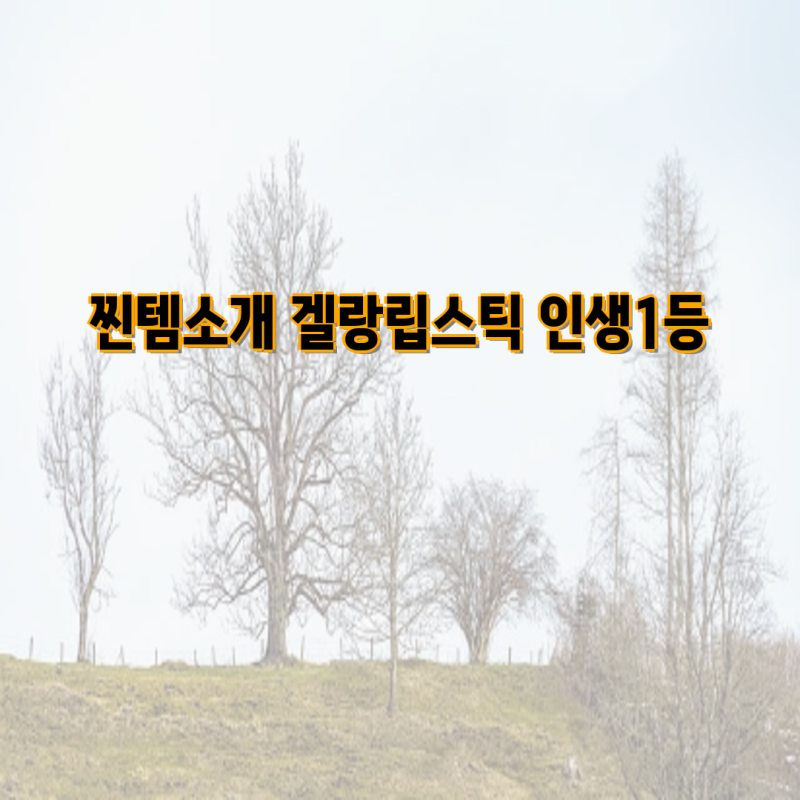 지속력 끝판왕! 묻어나지 않는 립스틱 추천 | 겔랑, 더샘, 루아인, 아미옥, 비올리코, 핑크, 코....