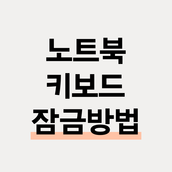  노트북 키보드 잠금 방법 : 계속 눌림으로 사용 안될 때