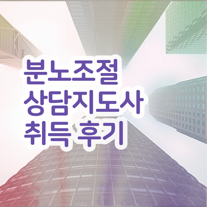  분노조절상담 쉽고 빠르게 분노조절상담지도사자격증 합격 비법