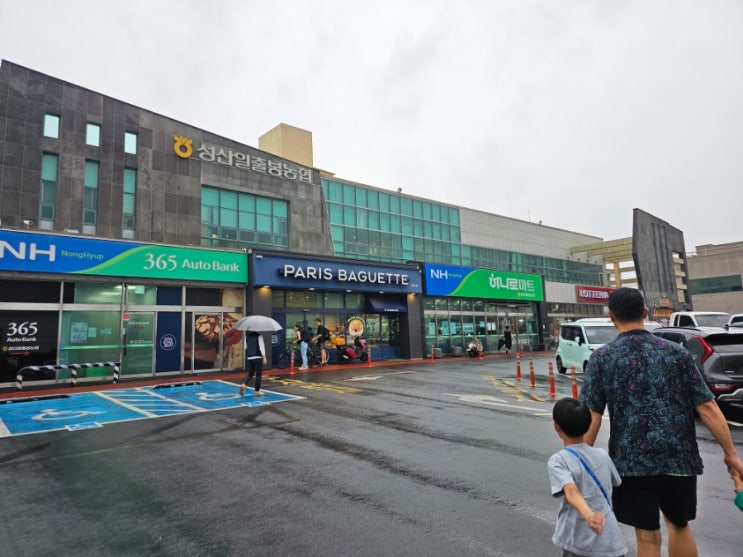  제주 성산 대형마트 성산일출봉농협 하나로마트 회포장 (feat, 광치기해변 문주란)