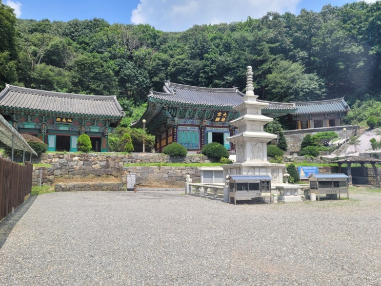 [용인 가볼만한곳] 용인 백련사 가보기
