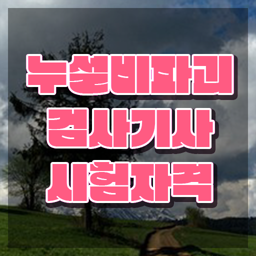  누설비파괴검사기사 시험응시조건 온라인 과정으로 단기간에 완료한 전략