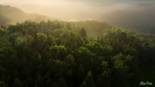  부산 사회복지평생교육기관 , 사회복지사2급 조건이 안돼도 온라인 수업으로 빠르게