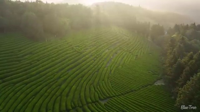  중구 신당5동 청년배관 하수구 배관막힘 차단 노하우