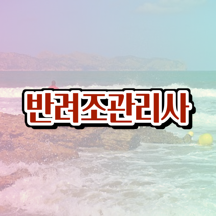  코뉴어 앵무새 가격 , 반려조관리사 자격증 응시자격 없이 합격한 비법 추천합니다