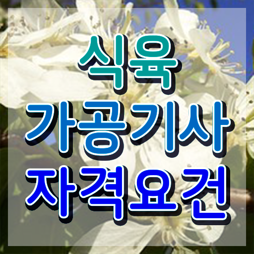  식육가공기사 식육가공기사 응시조건 집에서 온라인으로 5달만에 완료한 과정
