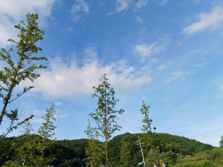  캠핑이 편한 타프존 캠핑장 제천 산내들민박&캠핑장