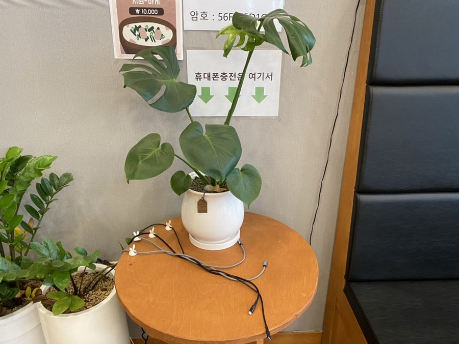 성화왕족발 흥덕점 사진 3