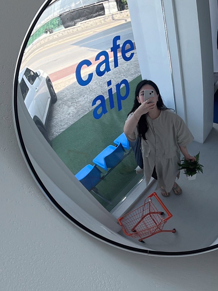  aip 안녕하소 나 오늘부터 다시 식집사요.