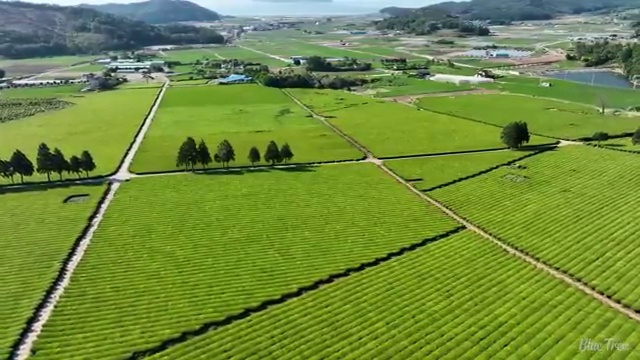  대전 결혼박람회 스드메 패키지 찾아보기 : , 결혼박람회에서 결혼준비 최고의 조건으로 확인하는 방법