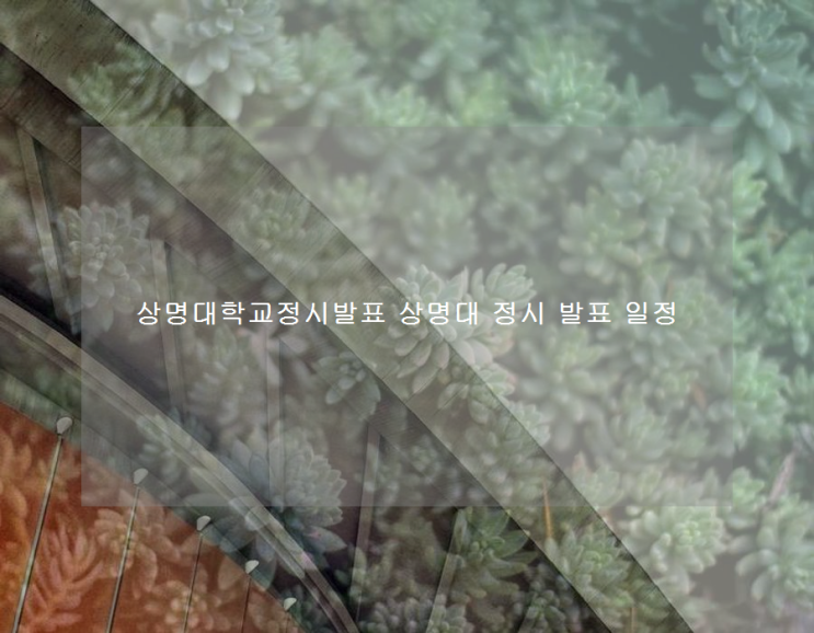 상명대학교정시발표 상명대 정시 발표 일정 상명대학교정시발표 상명대 정시 발표 일정