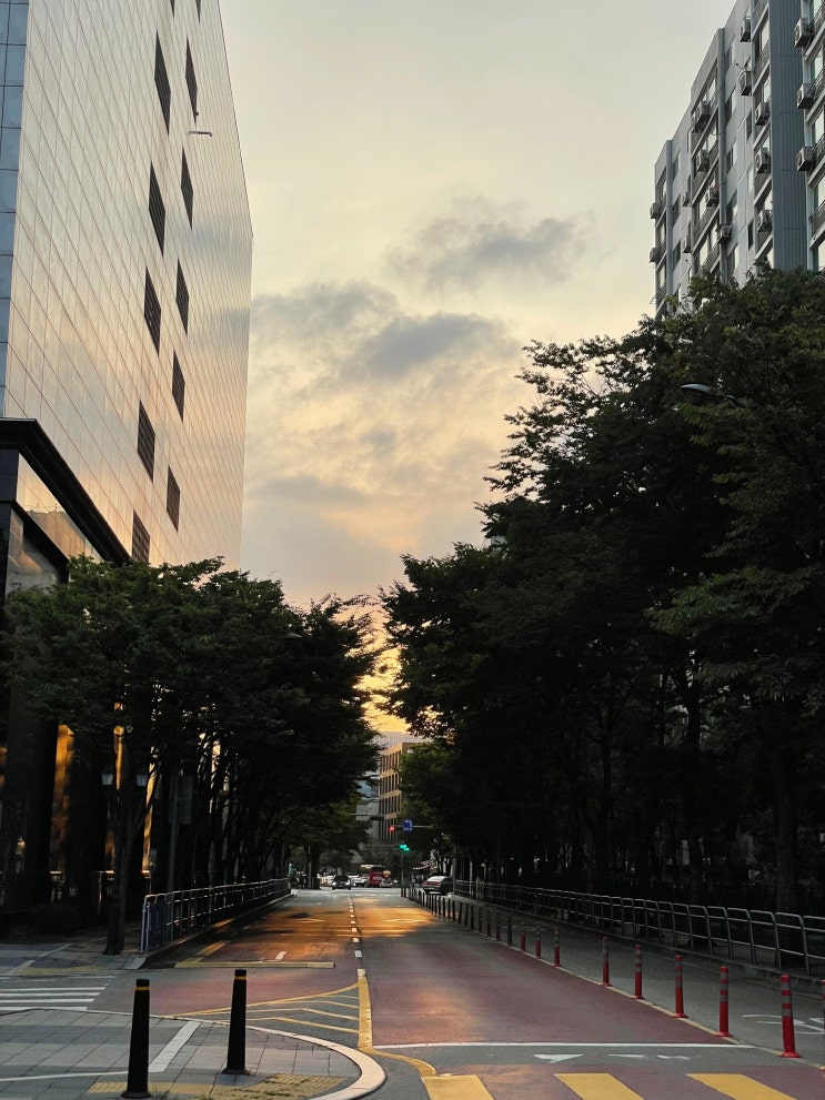  <포토덤프챌린지> 나 이번주엔 뭐했니 : 6