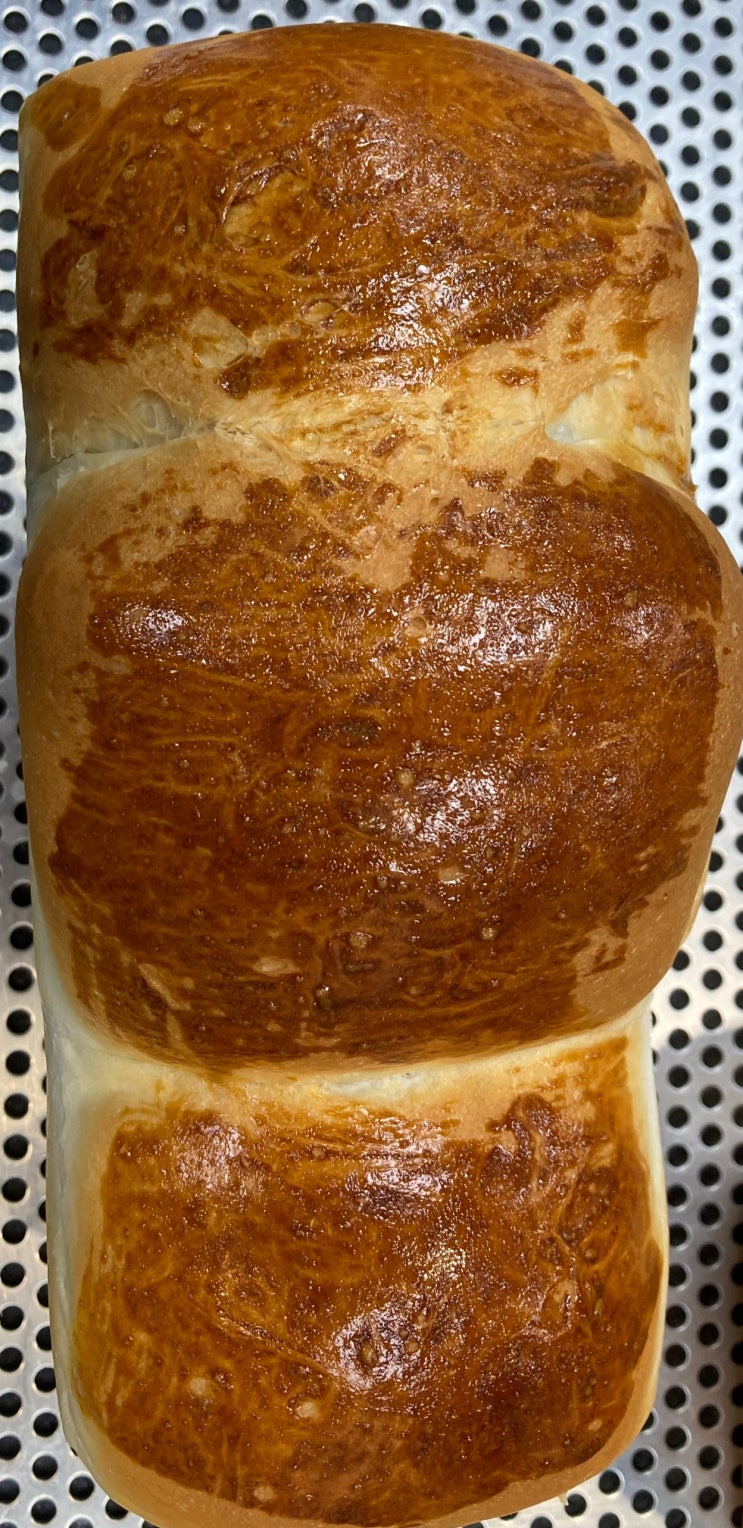  건강한 빵을 만들어서 먹고싶다