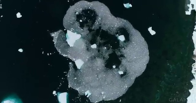  버섯산업기사 응시자격 온라인 수업으로 단기간에 완료한 비법