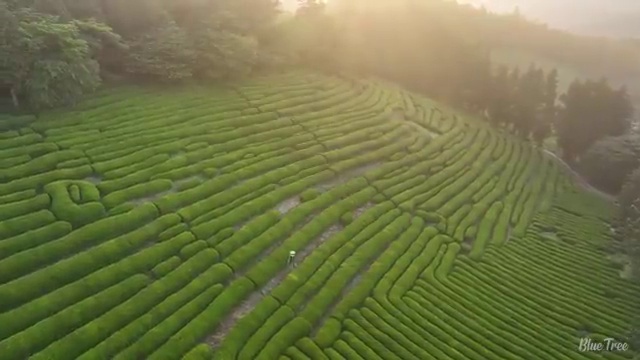  눈썹반영구학원 , 반영구화장 준비 시작할 때 필요한 면허증 온라인 평생교육원 통해서 헤어미용자격증 손쉽게