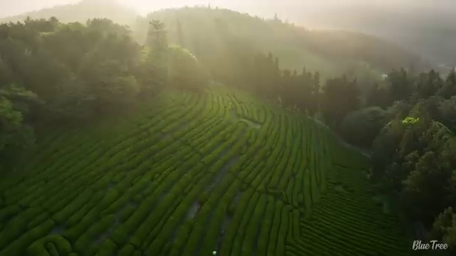  춘천 정신건강 사회복지사 연봉 사회복지사2급 고졸도 온라인 수업으로 쉽고 빠르게