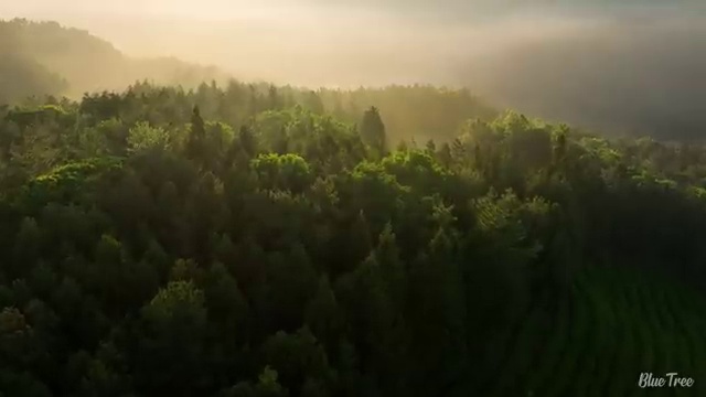  초등영어 교재 , 걱정없어요