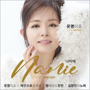 나미애 [Na Miae] (가수)
