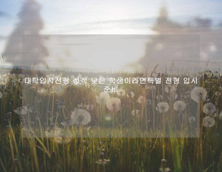 대학입시전형 성적 낮은 학생이라면특별 전형 입시 준비 대학입시전형 성적 낮은 학생이라면특별 전형 입시 준비