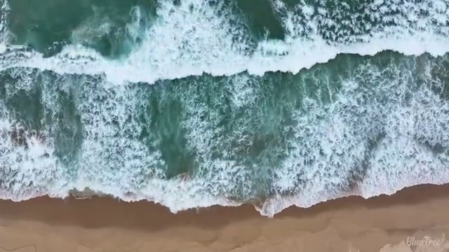  렌트 , 정말 실용적인 절세 초기 비용 없이 기회입니다. .