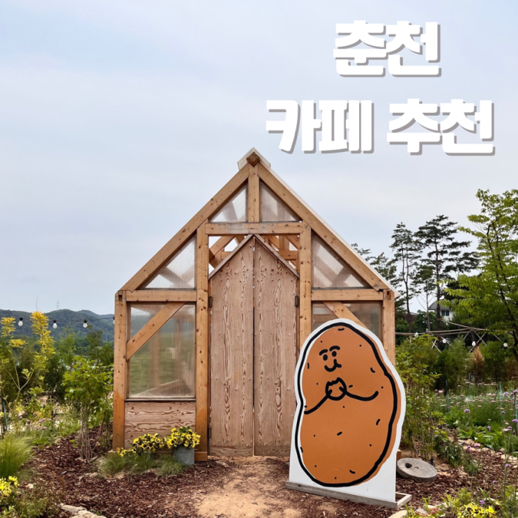  춘천 카페 추천 카페 감자밭 감자빵 택배, 전망 좋은 카페 어반 그린 포토존