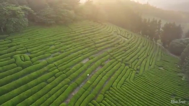  렌트 , 합리적인 업체