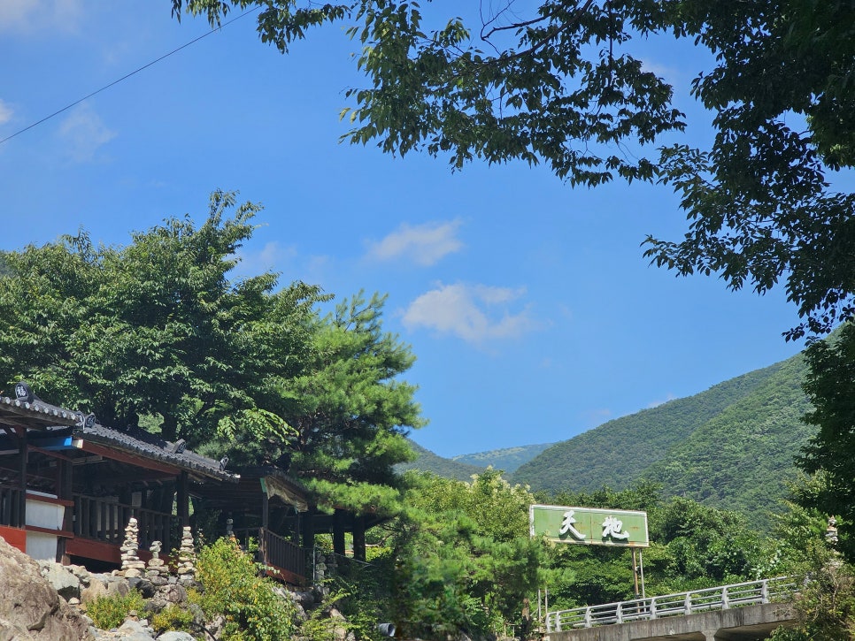 천지가든 사진 3
