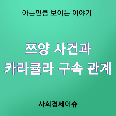 <b>쯔양</b> 소속사 대표 사건과 <b>카라큘라 구속</b> 관계는?