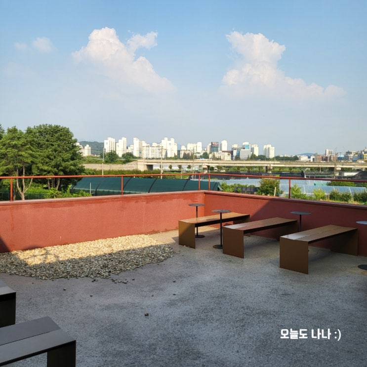  [고양 대형카페] 고양이가 마스코트?! 화정 근처 대형카페 고양 디스케이프 방문 후기