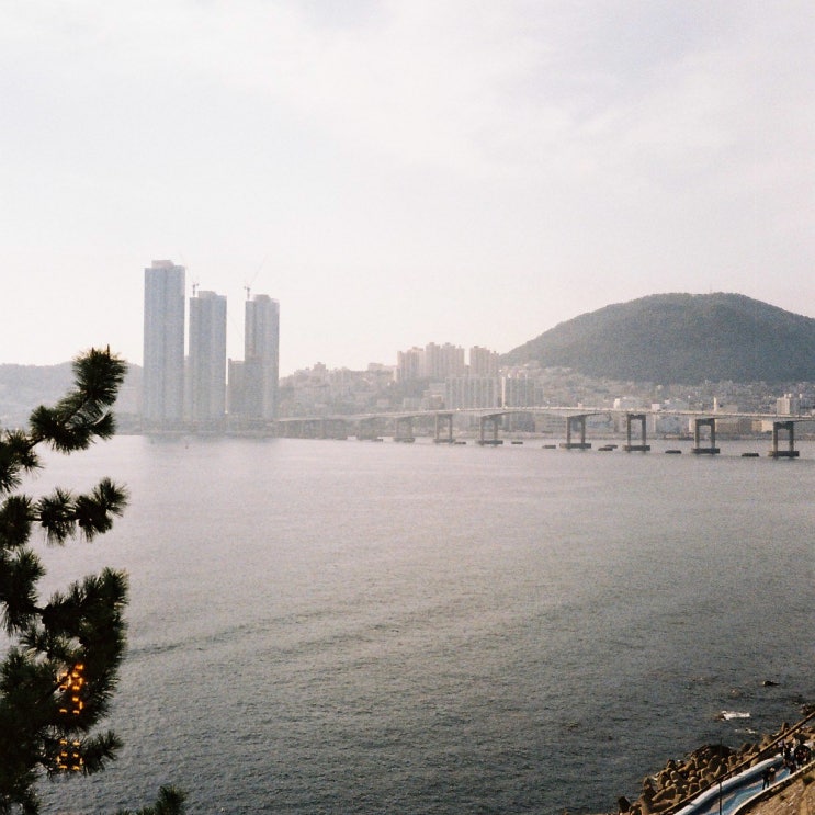  부산여행 필름카메라 사진 필름감성 003640