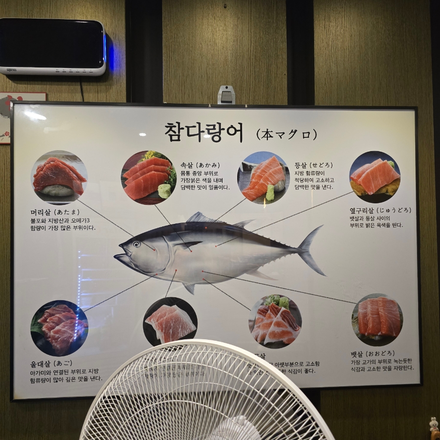 설참치 사진 5