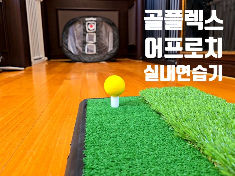 골프 스윙용품 골플렉스 실내 어프로치 연습기 칩스터 패키지