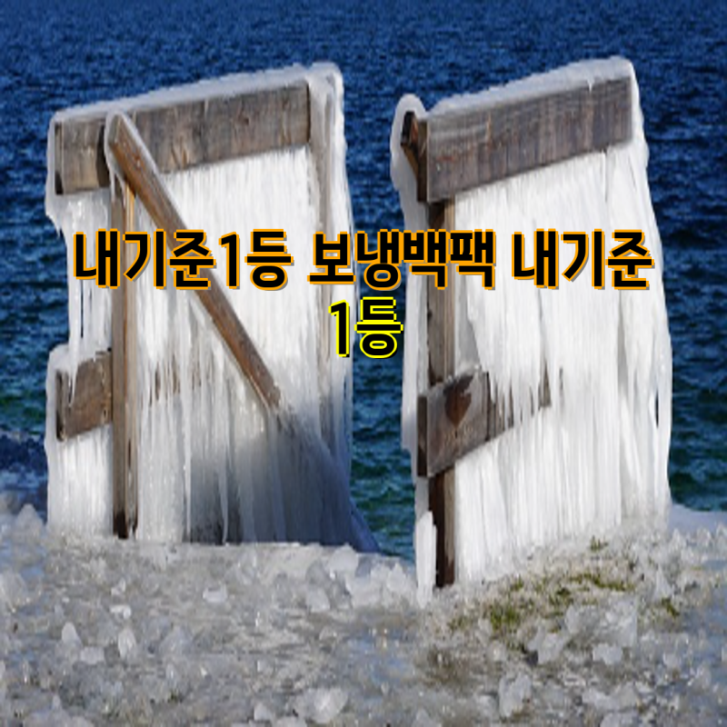내 기준 1등 보냉백팩 추천| 배달, 캠핑, 낚시까지 딱 맞는 백팩 찾기 | 보냉백팩, 배달가방, ....