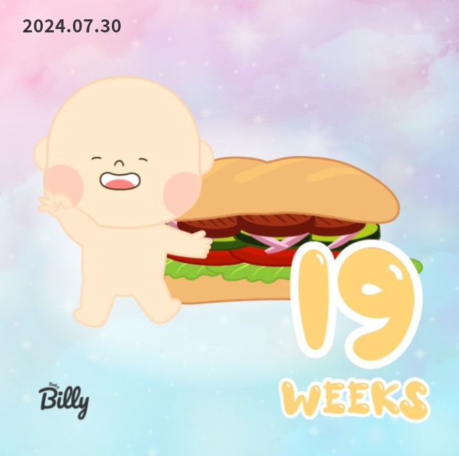  [태교일기] 힘찬이 임신 19주차! 힘찬이 첫 태동?!!