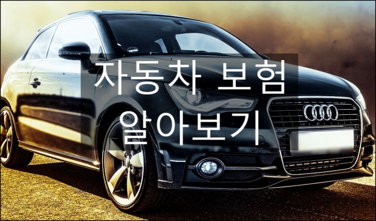  자동차 책임보험 종합보험 운전자보험 차이점