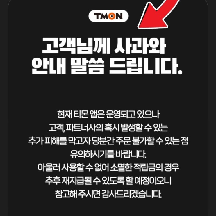 <b>티메프</b> 사태와 자율구조조정 프로그램: 위기의 전자상거래... 