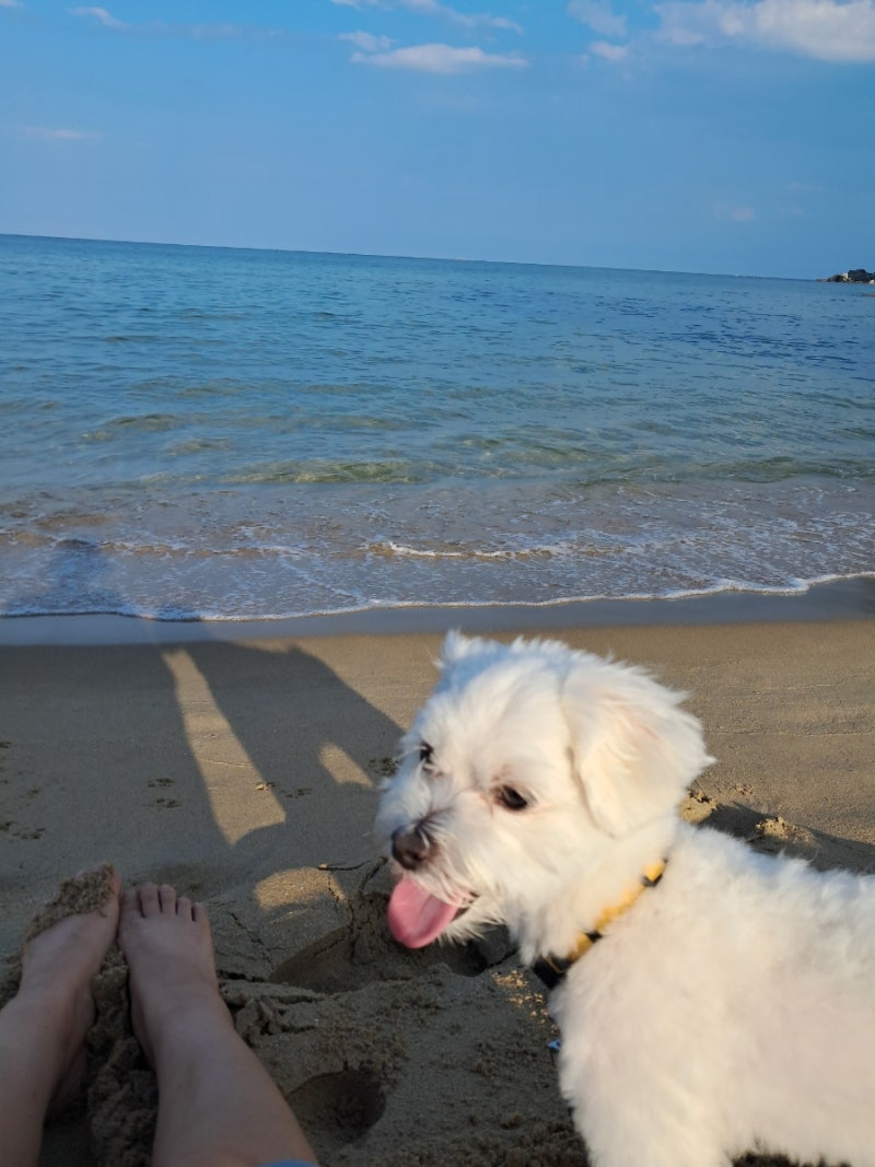 사진 6