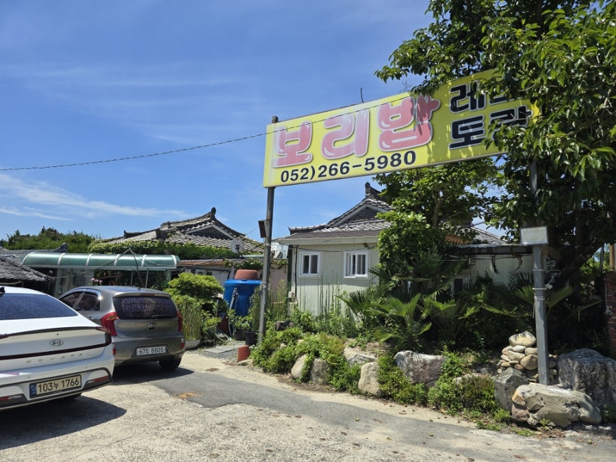 동해안참가자미 사진 1
