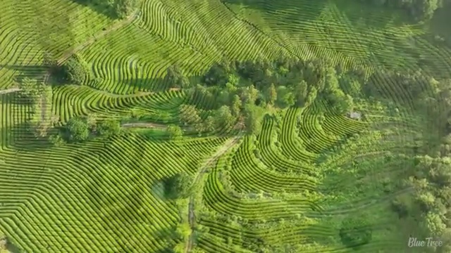  렌트 , 합리적인 방법