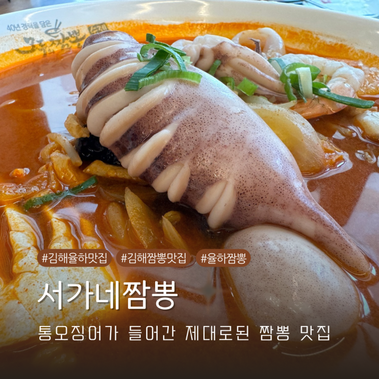  서가네짬뽕 경남 김해 율하 카페거리 맛집 오징어가 통으로 올라간 제대로 된 짬뽕 맛집