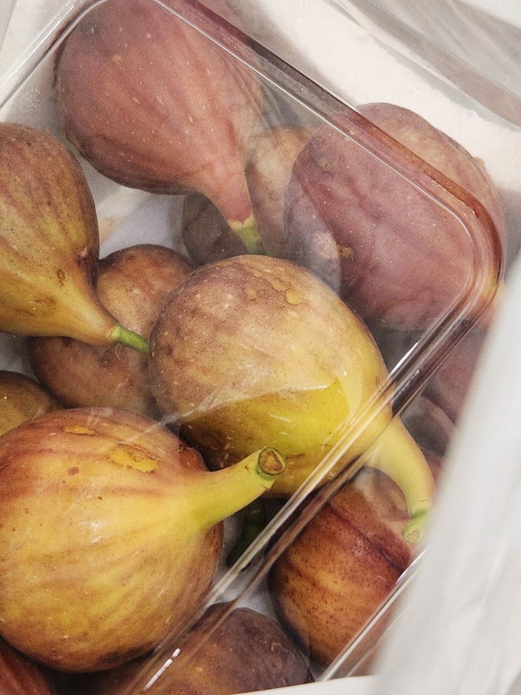  일상 ㅣ 여름의 맛, 무화과의 계절