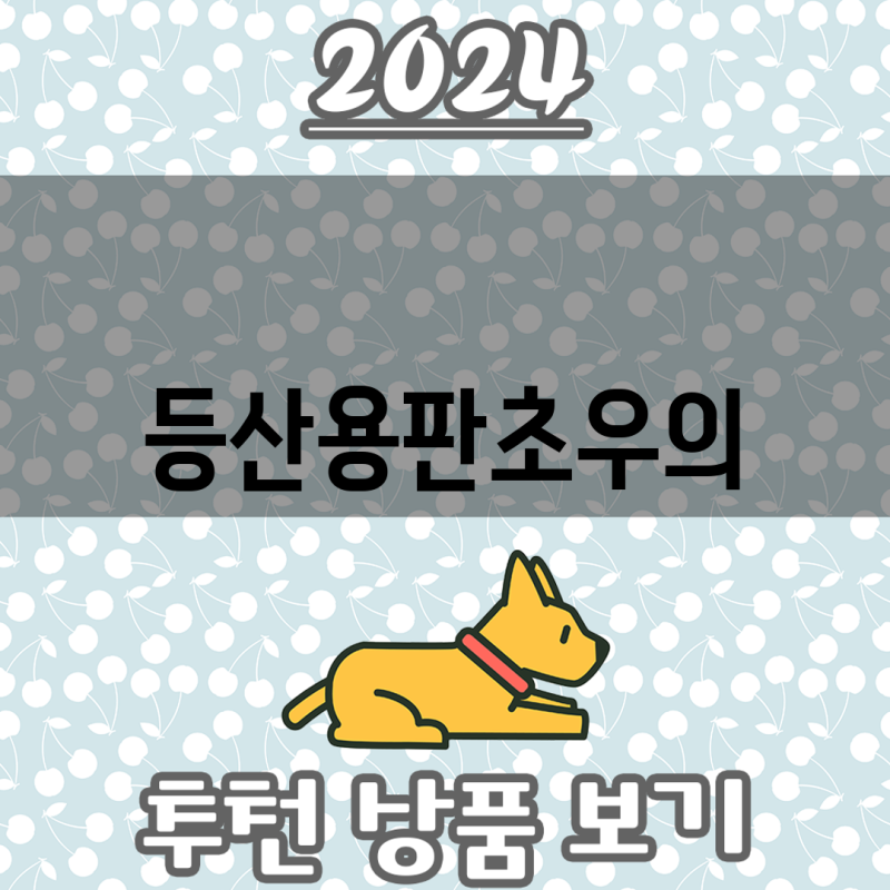 등산용 판초우의 이 기능 없이는 안 돼  핵심 기능 비교 분석