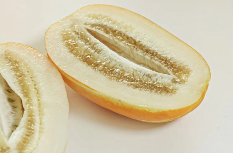  시원함이 가득한  참외 효능에 대해서 알아 볼게요