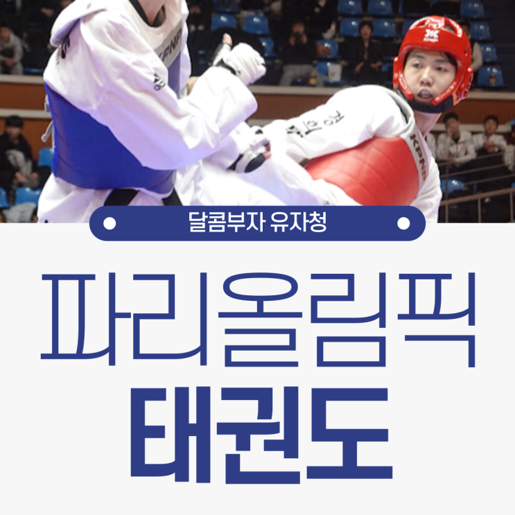 파리올림픽 <b>태권도</b> 국가대표 일정 <b>박태준</b> 서건우 김유진 이다빈... 