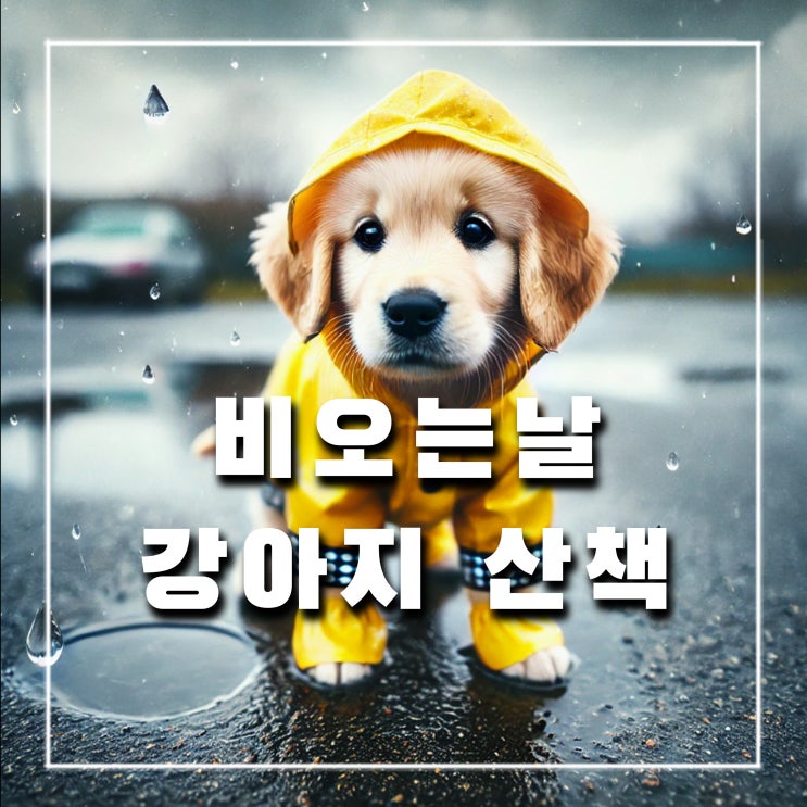  비오는날 강아지 산책 가도 될까? 우비를 입혀야할까?