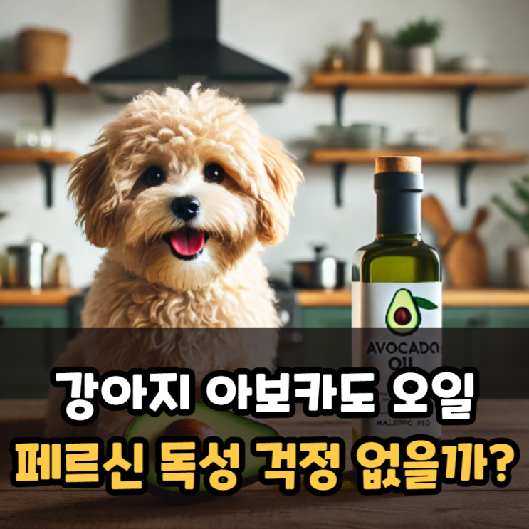  강아지 아보카도 오일 페르신 독성 걱정없이 먹어도 되나요?